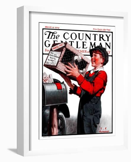 "Puppy by Parcel Post," Country Gentleman Cover, March 15, 1924-J.F. Kernan-Framed Giclee Print