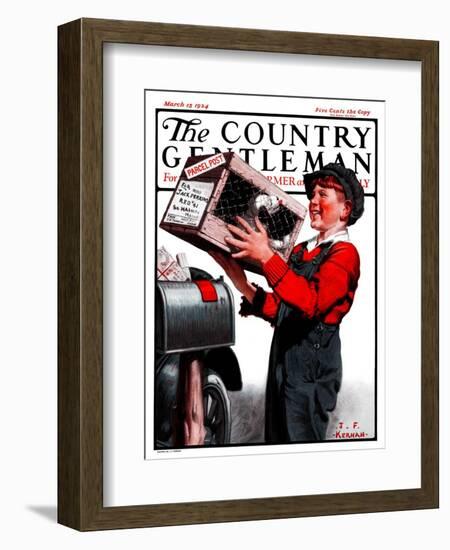 "Puppy by Parcel Post," Country Gentleman Cover, March 15, 1924-J.F. Kernan-Framed Giclee Print