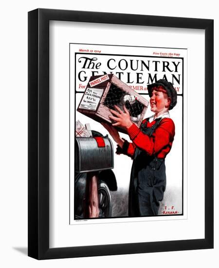 "Puppy by Parcel Post," Country Gentleman Cover, March 15, 1924-J.F. Kernan-Framed Giclee Print