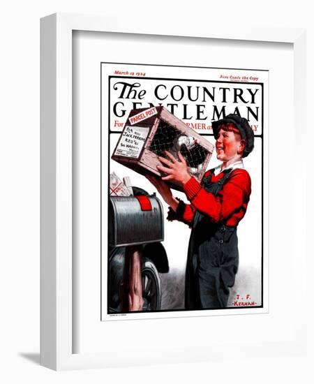 "Puppy by Parcel Post," Country Gentleman Cover, March 15, 1924-J.F. Kernan-Framed Giclee Print