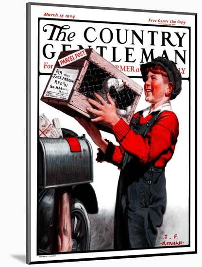 "Puppy by Parcel Post," Country Gentleman Cover, March 15, 1924-J.F. Kernan-Mounted Giclee Print