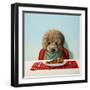 Puppy Chow-Lucia Heffernan-Framed Art Print