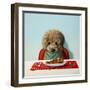 Puppy Chow-Lucia Heffernan-Framed Art Print