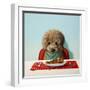 Puppy Chow-Lucia Heffernan-Framed Art Print