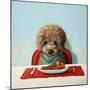 Puppy Chow-Lucia Heffernan-Mounted Art Print