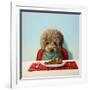 Puppy Chow-Lucia Heffernan-Framed Premium Giclee Print