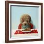 Puppy Chow-Lucia Heffernan-Framed Art Print