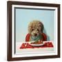 Puppy Chow-Lucia Heffernan-Framed Art Print