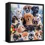 Puppy Collage-Jenny Newland-Framed Stretched Canvas
