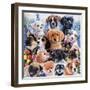 Puppy Collage-Jenny Newland-Framed Giclee Print