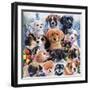 Puppy Collage-Jenny Newland-Framed Giclee Print