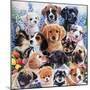 Puppy Collage-Jenny Newland-Mounted Giclee Print