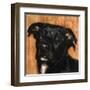 Puppy Dog Eyes I-Walt Johnson-Framed Art Print