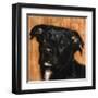 Puppy Dog Eyes I-Walt Johnson-Framed Art Print