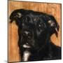Puppy Dog Eyes I-Walt Johnson-Mounted Art Print