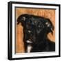 Puppy Dog Eyes I-Walt Johnson-Framed Art Print