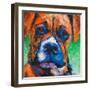 Puppy Dog Eyes II-Walt Johnson-Framed Art Print