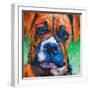 Puppy Dog Eyes II-Walt Johnson-Framed Art Print