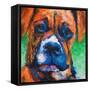 Puppy Dog Eyes II-Walt Johnson-Framed Stretched Canvas