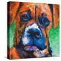 Puppy Dog Eyes II-Walt Johnson-Stretched Canvas