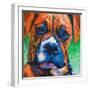 Puppy Dog Eyes II-Walt Johnson-Framed Art Print