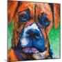 Puppy Dog Eyes II-Walt Johnson-Mounted Art Print