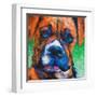 Puppy Dog Eyes II-Walt Johnson-Framed Art Print