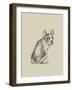 Puppy Dog Eyes IV-Ethan Harper-Framed Art Print