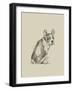 Puppy Dog Eyes IV-Ethan Harper-Framed Art Print