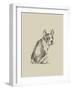 Puppy Dog Eyes IV-Ethan Harper-Framed Art Print