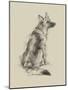 Puppy Dog Eyes V-Ethan Harper-Mounted Art Print