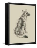 Puppy Dog Eyes V-Ethan Harper-Framed Stretched Canvas
