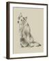 Puppy Dog Eyes VI-Ethan Harper-Framed Art Print