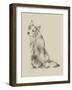 Puppy Dog Eyes VI-Ethan Harper-Framed Art Print