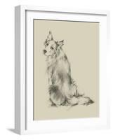 Puppy Dog Eyes VI-Ethan Harper-Framed Art Print