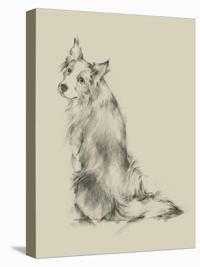 Puppy Dog Eyes VI-Ethan Harper-Stretched Canvas