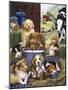 Puppy Hayday-Jenny Newland-Mounted Giclee Print