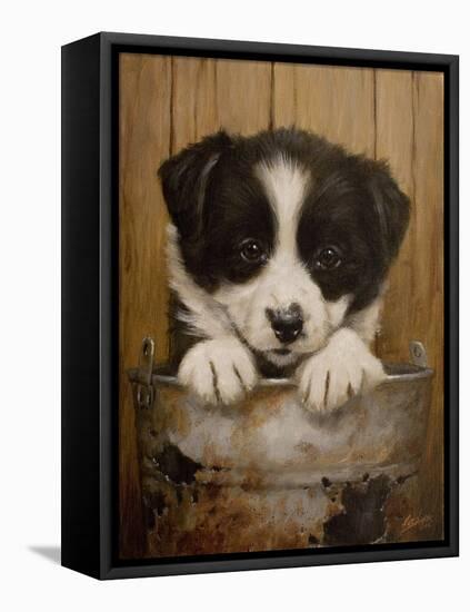 Puppy in a Bucket-John Silver-Framed Stretched Canvas