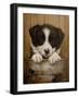 Puppy in a Bucket-John Silver-Framed Giclee Print