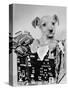 Puppy in a Christmas Box-Bettmann-Stretched Canvas
