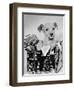 Puppy in a Christmas Box-Bettmann-Framed Photographic Print