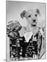 Puppy in a Christmas Box-Bettmann-Mounted Photographic Print