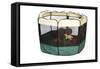 Puppy in Play Pen-null-Framed Stretched Canvas