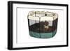 Puppy in Play Pen-null-Framed Photographic Print