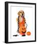 Puppy Labrado Retriever-cynoclub-Framed Photographic Print