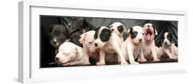 Puppy Love-null-Framed Photographic Print