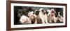 Puppy Love-null-Framed Photographic Print