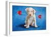 Puppy Lover-Will Bullas-Framed Giclee Print