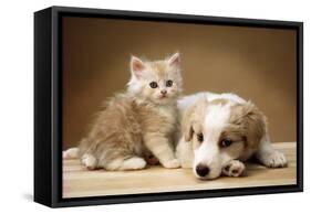 Puppy Lying Together with Kitten-null-Framed Stretched Canvas