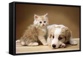 Puppy Lying Together with Kitten-null-Framed Stretched Canvas